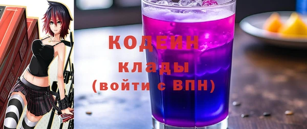 индика Абаза