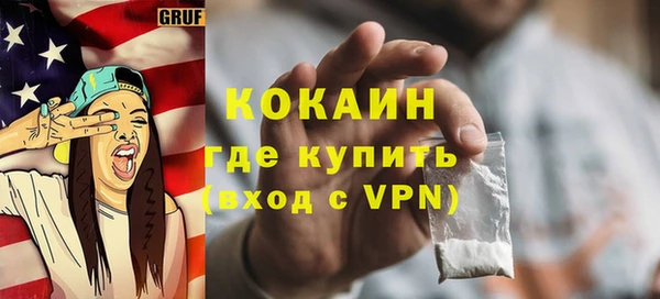 индика Абаза