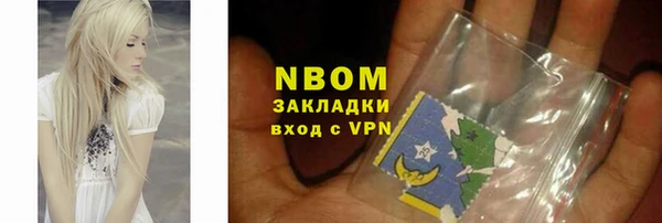 индика Абаза
