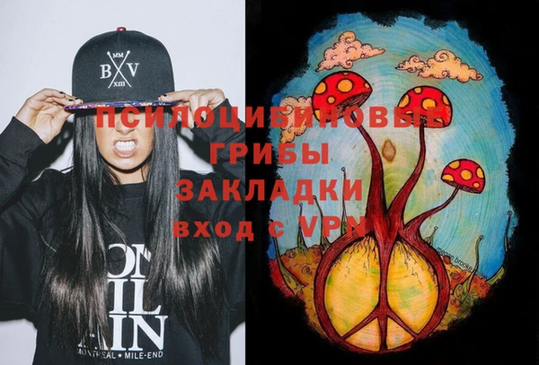 индика Абаза