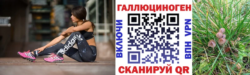 Псилоцибиновые грибы ЛСД  Алдан 